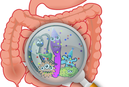View FMT: the next big thing in IBS? An illustration of the intestine and a magnify mirror zooming in on the bacteria and bugs