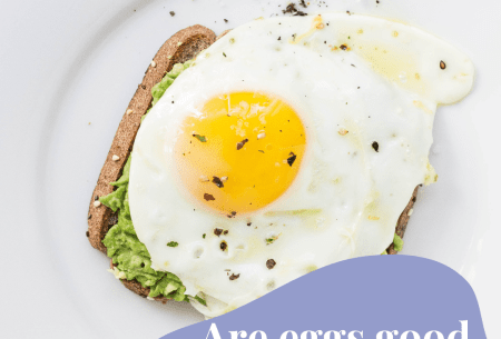 View Are eggs good or bad to eat? White plate with a single piece of toast, avocado spread and a fried egg on top, with text reading 'Are eggs good or bad to eat?'