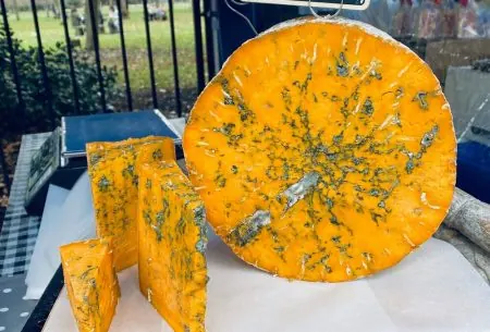 View Say Cheese! Can you still eat cheese if you’re intolerant to lactose? A big piece of blue shropshire cheese with smaller pieces alongside