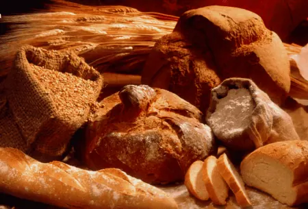 View Tips to help you manage Coeliac Disease in infants Coeliac disease treatment involves lifelong adherance to a gluten free diet in paediatrics and adults.