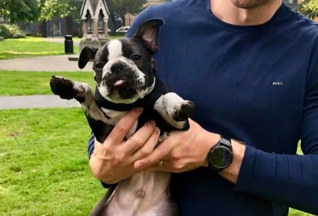 View Did you know dogs have been shown to smell out bowel cancer? Man holding dog