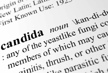 View The Candida Diet
