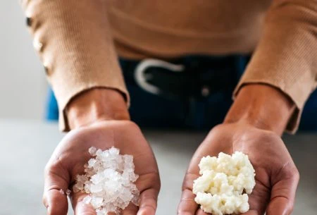 View Fermenting basics Two hand palms up holding fermented dairy and water kefir